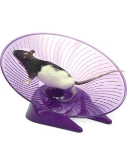 Flamingo Vliegende Schotel L 30,5cm Ass. | Worldofanimals.nl Heeft Het!