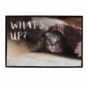 Duvo Vloermat Indoor What's Up 60x40x0,6cm 1 Duvo Vloermat Indoor What's Up 60x40x0,6cm -Huisdierbenodigdheden Verkoopwinkel vloermat indoor what s up 60x40x06cm