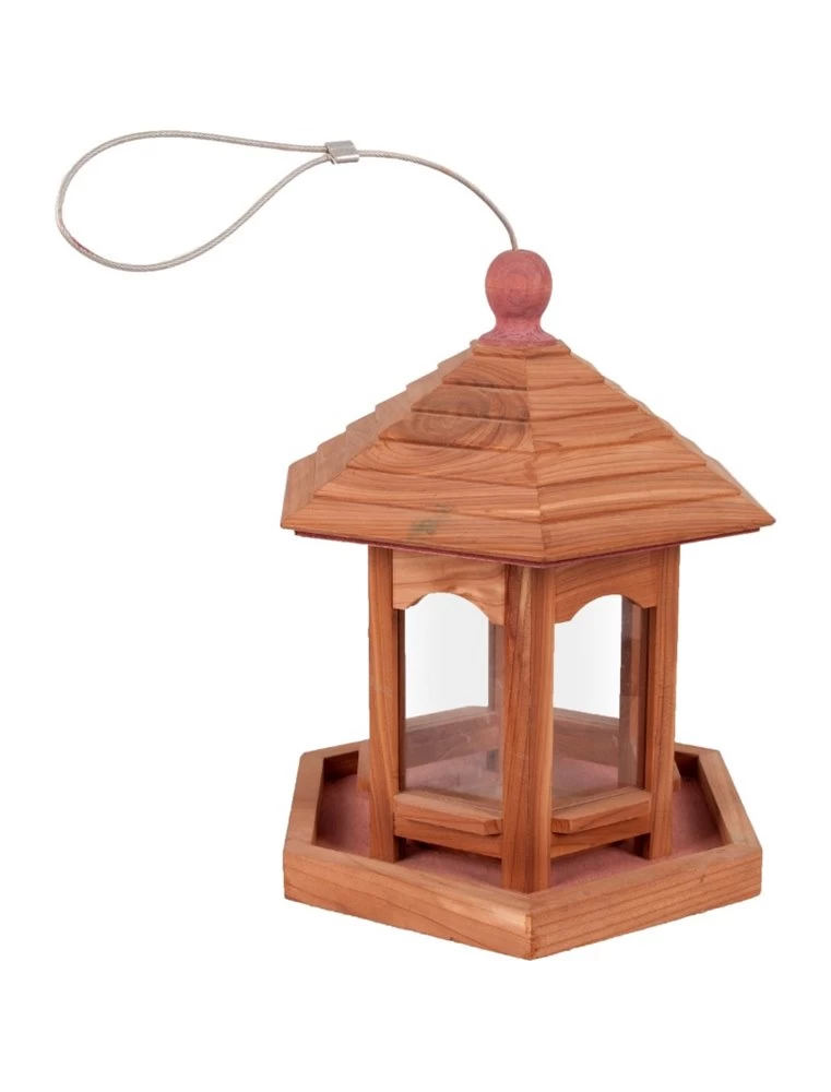 Flamingo Voederhuis Tica | Worldofanimals.nl Heeft Het! 3 Flamingo Voederhuis Tica | Worldofanimals.nl Heeft Het!