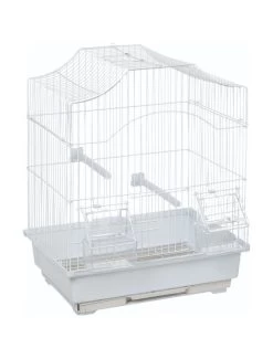 Flamingo Vogelkooi Lampung | Worldofanimals.nl Heeft Het!