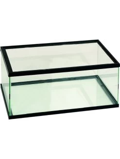 Flamingo Volglas Schildpadbak 50x30x18 Zwart | Worldofanimals.nl Heeft Het!