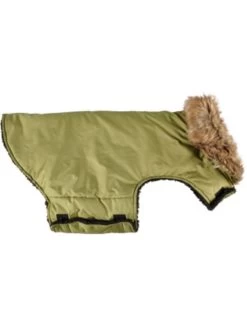 Flamingo Winterjas Madox Groen 45cm | Worldofanimals.nl Heeft Het! -Huisdierbenodigdheden Verkoopwinkel winterjas madox groen 45cm 4