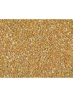 ZUIVERING CONTINENTAL NATURAL | Worldofanimals.nl Heeft Het!