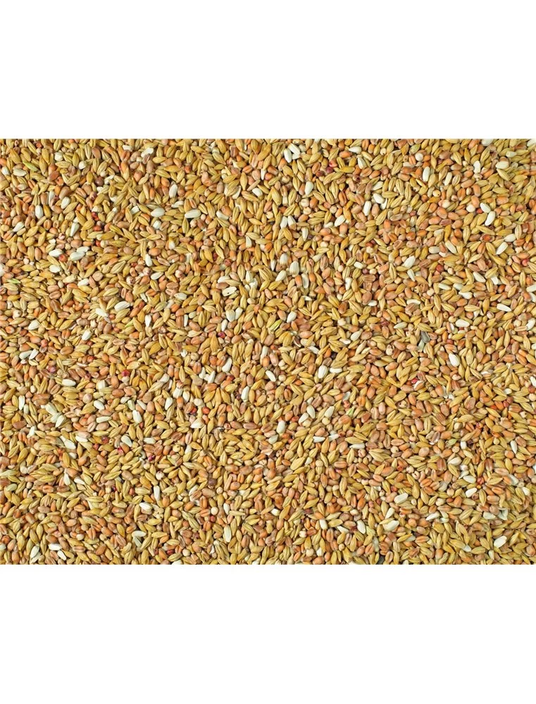 ZUIVERING CONTINENTAL NATURAL | Worldofanimals.nl Heeft Het! 3 ZUIVERING CONTINENTAL NATURAL | Worldofanimals.nl Heeft Het!