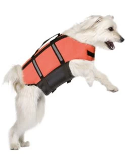 Flamingo Zwemvest Xs / 25 Cm / 3,5 - 7,5kg | Worldofanimals.nl Heeft Het! -Huisdierbenodigdheden Verkoopwinkel zwemvest xs 25 cm 35 75kg 2